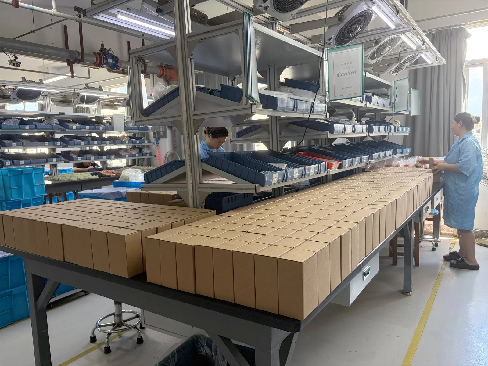 Export cartons staged on the packing line for cargo packaging